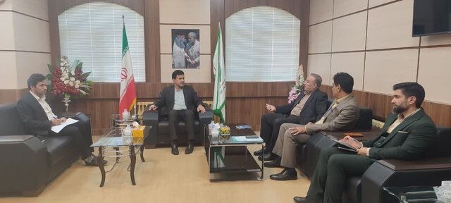 تأمین ۲۰ درصد برق دستگاه‌های اجرایی از انرژی‌های تجدیدپذیر از اولویت‌های دیوان محاسبات
