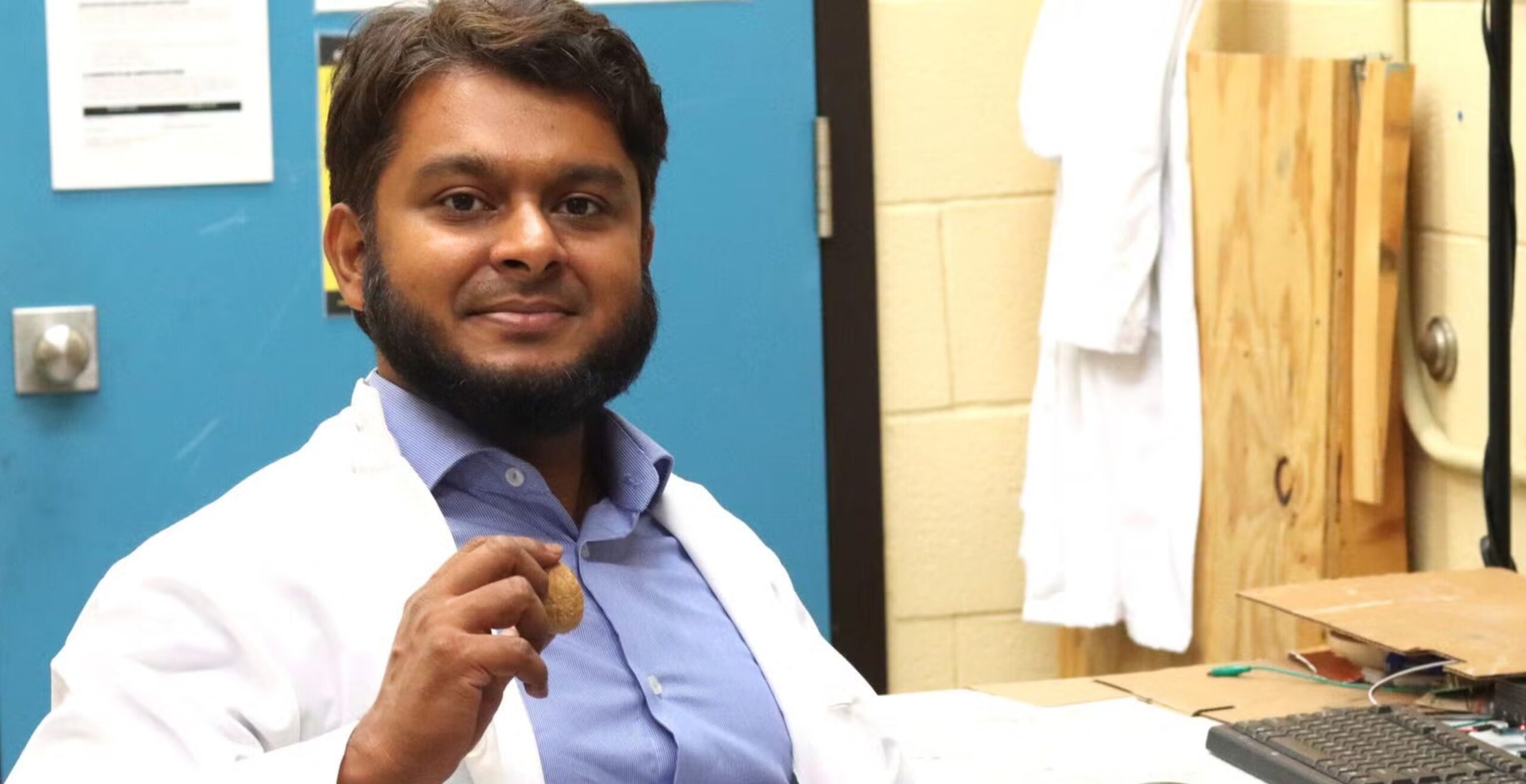 تولید برق با پوسته گردو