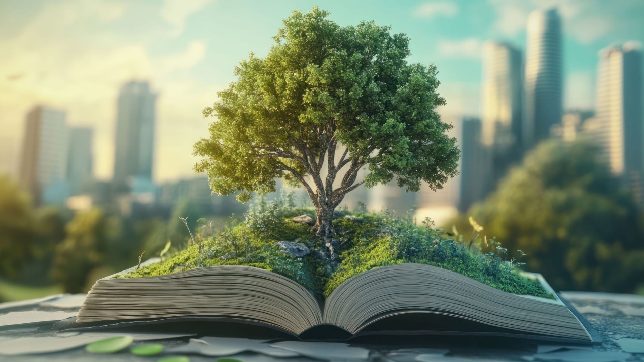 مدیریت سبز در مدارس