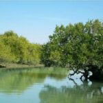 زیست‌کره