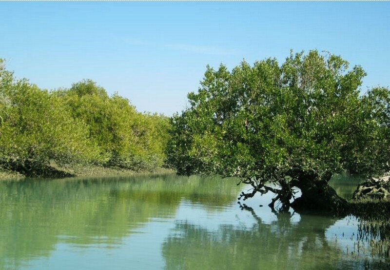 زیست‌کره