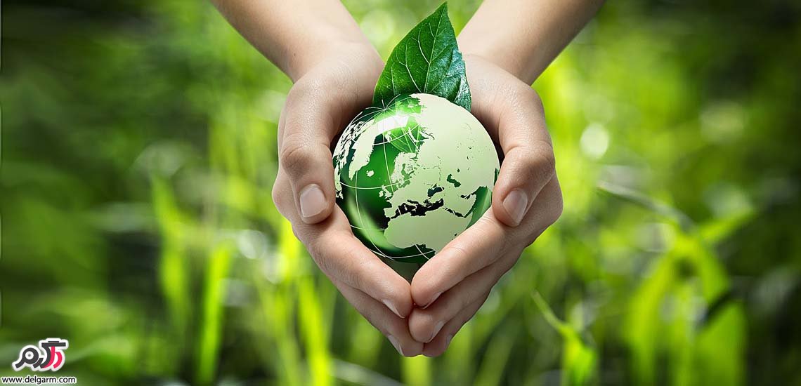هاب شیمیایی سبز فناور