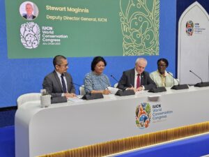 توسعه انرژی‌های تجدیدپذیر