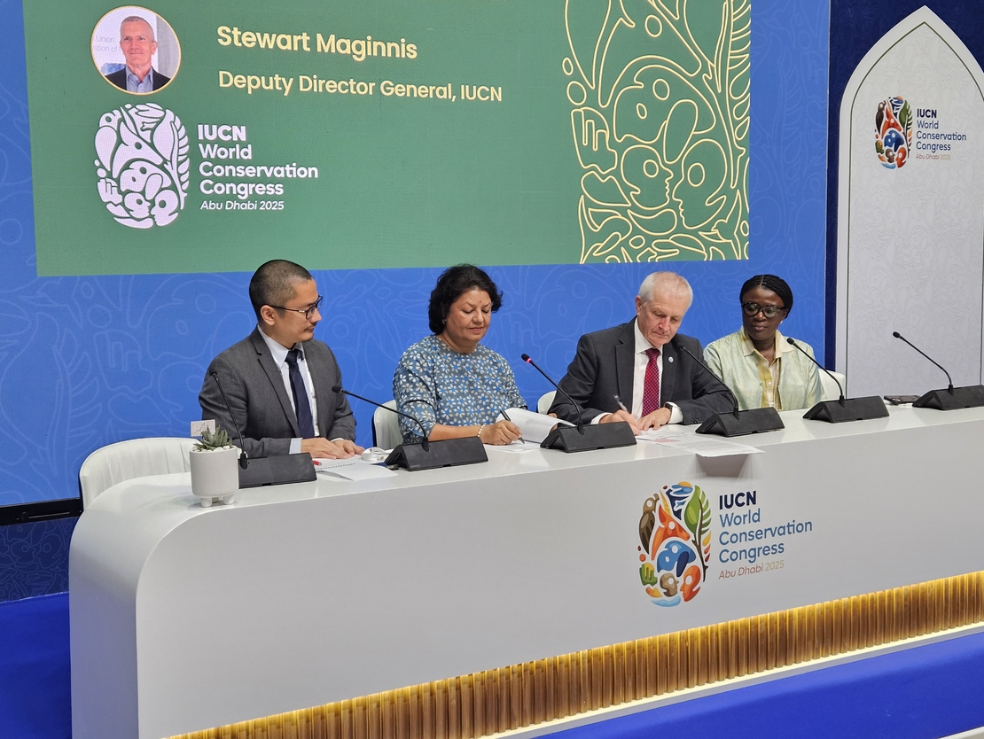 توسعه انرژیهای تجدیدپذیر