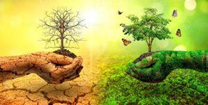 یادداشت رئیس سازمان حفاظت محیط زیست درباره مقابله با تغییرات اقلیمی