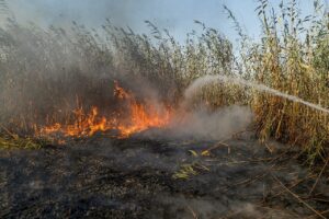 آتش‌سوزی تالاب هورالعظیم