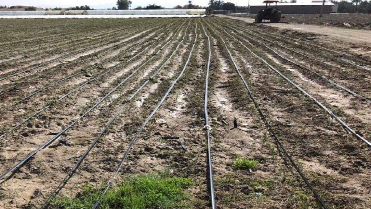 تجهیز ۹۰۰ هکتار از اراضی خراسان جنوبی به پوشش سامانههای نوین آبیاری