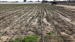 تجهیز ۹۰۰ هکتار از اراضی خراسان جنوبی به پوشش سامانه‌های نوین آبیاری