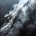 در آتش‌سوزی اخیر جنگل‌های الیت، حدود ۱۰ هکتار از اراضی جنگلی نابود شد