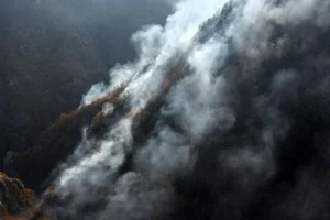 در آتش‌سوزی اخیر جنگل‌های الیت، حدود ۱۰ هکتار از اراضی جنگلی نابود شد