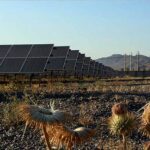 قائم‌مقام ساتبا خبر داد: افتتاح ۴۴۵ مگاوات نیروگاه خورشیدی و آغاز عملیات اجرایی ۱۷۷ مگاوات جدید