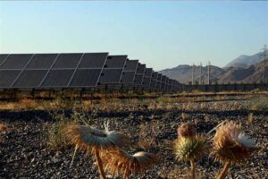 قائم‌مقام ساتبا خبر داد: افتتاح ۴۴۵ مگاوات نیروگاه خورشیدی و آغاز عملیات اجرایی ۱۷۷ مگاوات جدید