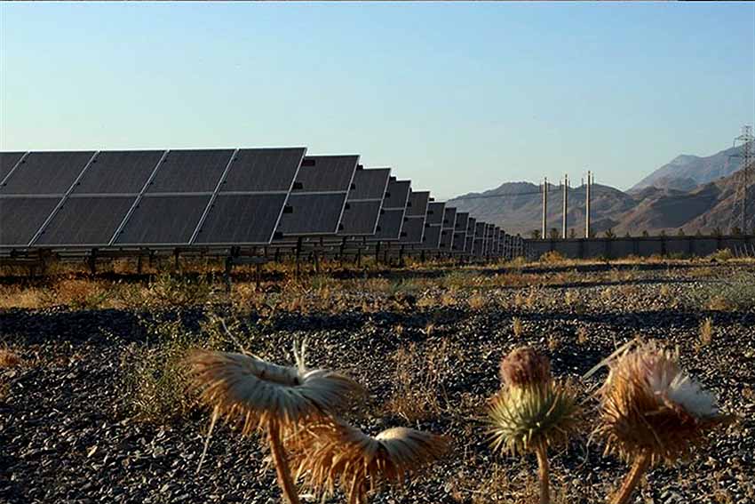 قائممقام ساتبا خبر داد: افتتاح ۴۴۵ مگاوات نیروگاه خورشیدی و آغاز عملیات اجرایی ۱۷۷ مگاوات جدید