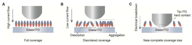 ابتکار محققان: چسب مولکولی که پنلهای خورشیدی را در برابر گرمای شدید مقاوم میکند