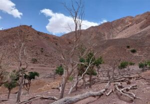 20 استان همچنان زیر سطح نرمال هستند؛ تهران و البرز کم‌بارش‌ترین استان‌های کشور