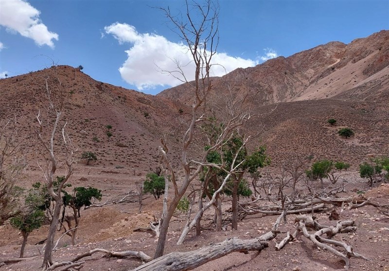 20 استان همچنان زیر سطح نرمال هستند؛ تهران و البرز کم‌بارش‌ترین استان‌های کشور