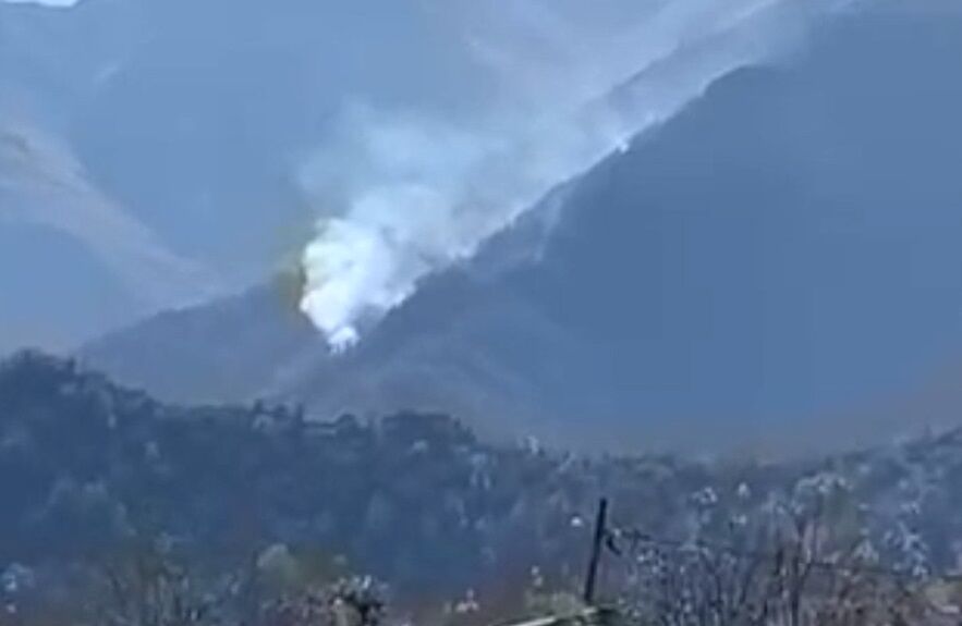 عامل آتشسوزی جنگلهای هیرکانی مشخص شد