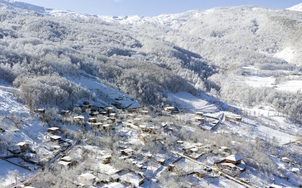 جنگل‌های الیت حالا سفیدپوش شده است