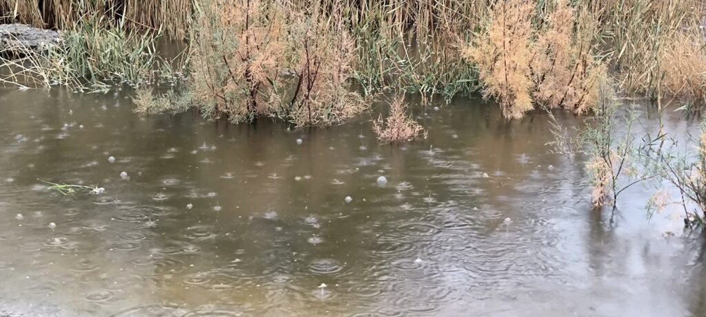 با بارندگی اخیر اتفاق افتاد: بهبود ۴۰ میلی‌متری متوسط بارش کشور و پرشدگی ۳۳ درصدی سدها