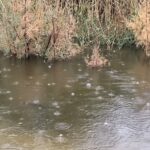 با بارندگی اخیر اتفاق افتاد: بهبود ۴۰ میلی‌متری متوسط بارش کشور و پرشدگی ۳۳ درصدی سدها