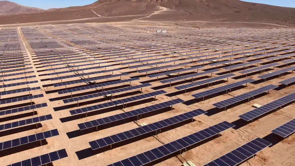 دانشمندان با الهام از برگ درختان، پنل خورشیدی خودتمیزشونده ساخته‌اند