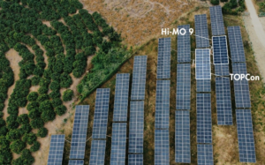 لانگی داده‌های میدانی جهانی ماژول‌های پشت‌تماسی Hi-MO 9 را منتشر کرد