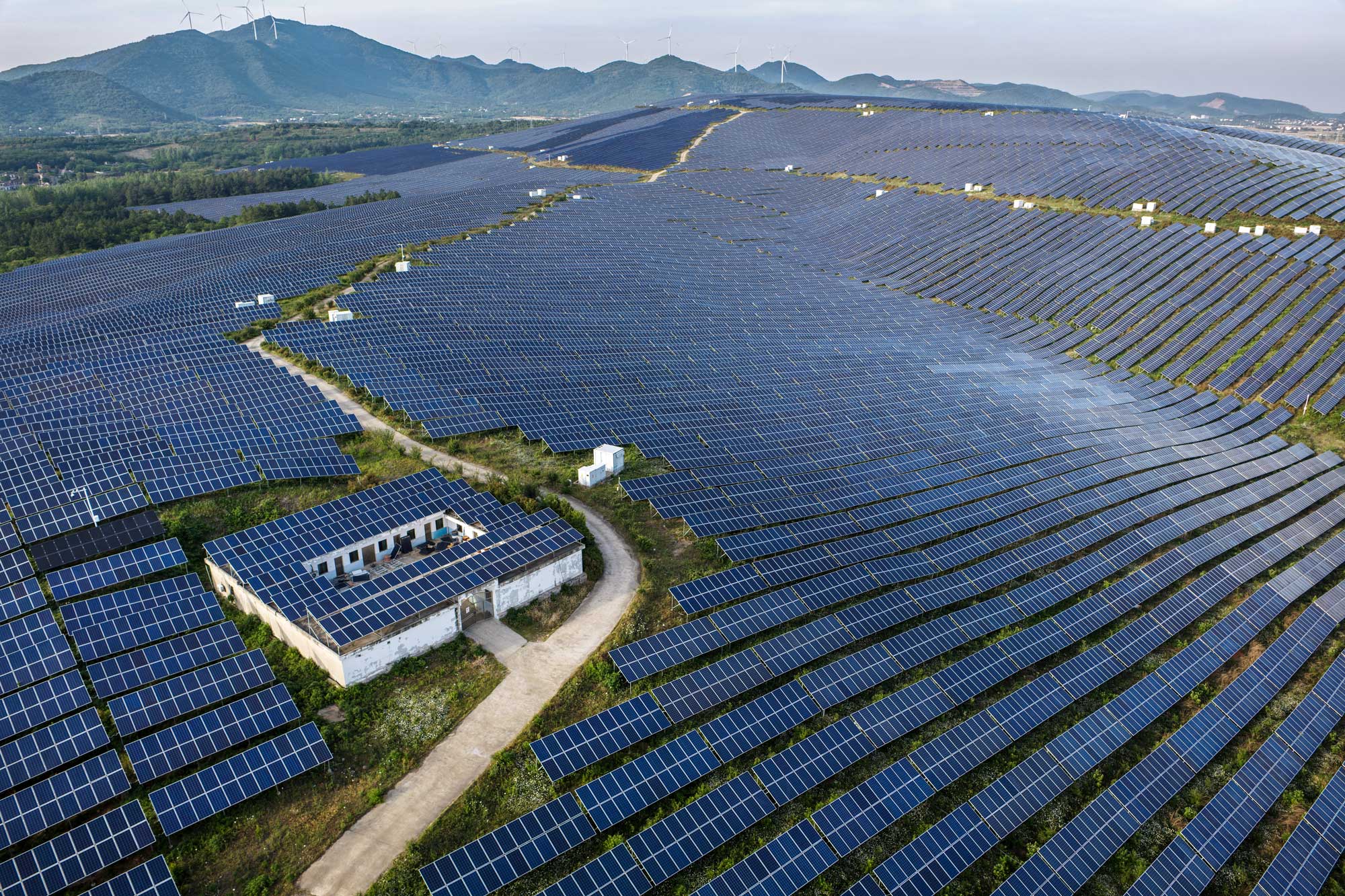 مجله ساینس رشد انرژی‌های تجدیدپذیر را به‌عنوان «پیشرفت علمی سال ۲۰۲۵» معرفی کرد