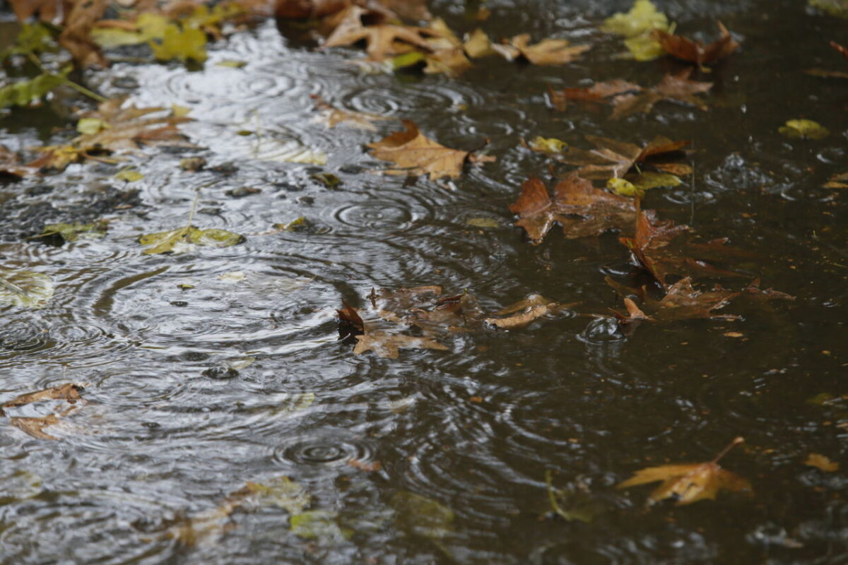 بارشهای اخیر کمآبی کشور را جبران نمیکند؛ به دهها بارش مناسب نیاز داریم