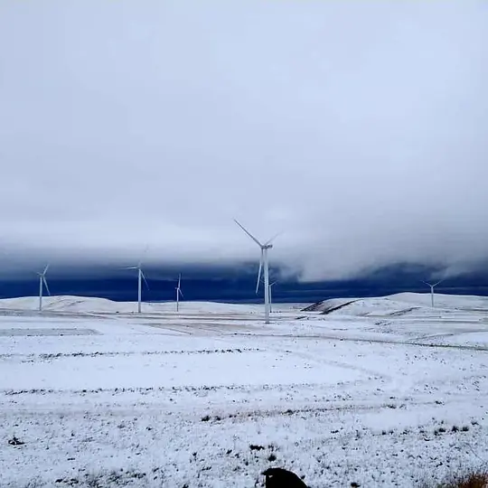 4b6f40545e1440679281252bf976920f-ei_1643126953114