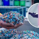 محققان از جلبک، پلاستیک زیست‌تخریب‌پذیر ساخته‌اند