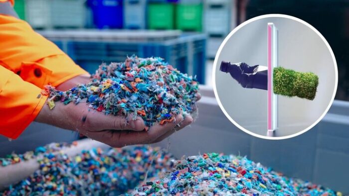 محققان از جلبک، پلاستیک زیست‌تخریب‌پذیر ساخته‌اند