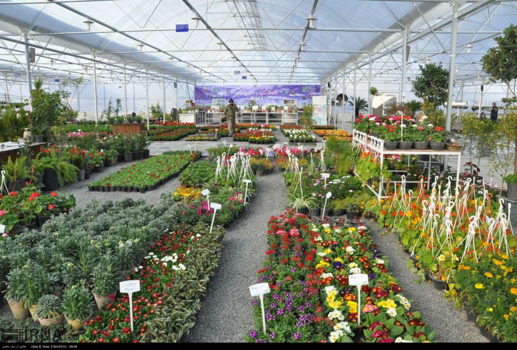 بازار گل و گیاه اصفهان خورشیدی