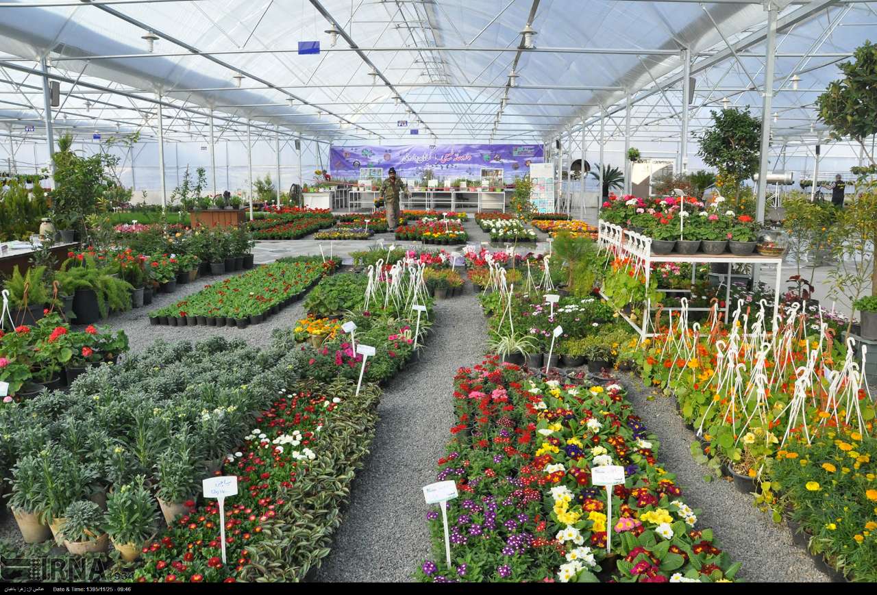 بازار گل و گیاه اصفهان خورشیدی
