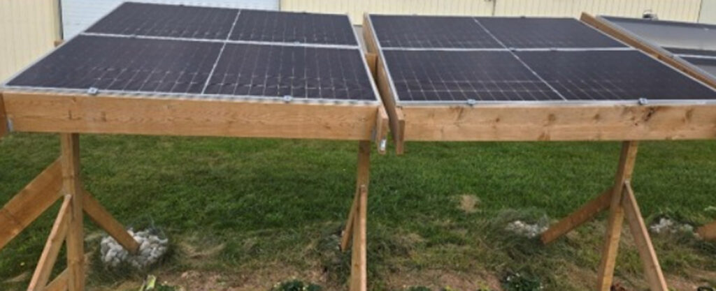 محققان: اگری‌ولتائیک به دوام کاهو در گرمای شدید کمک کنند