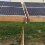 محققان: اگری‌ولتائیک به دوام کاهو در گرمای شدید کمک کنند