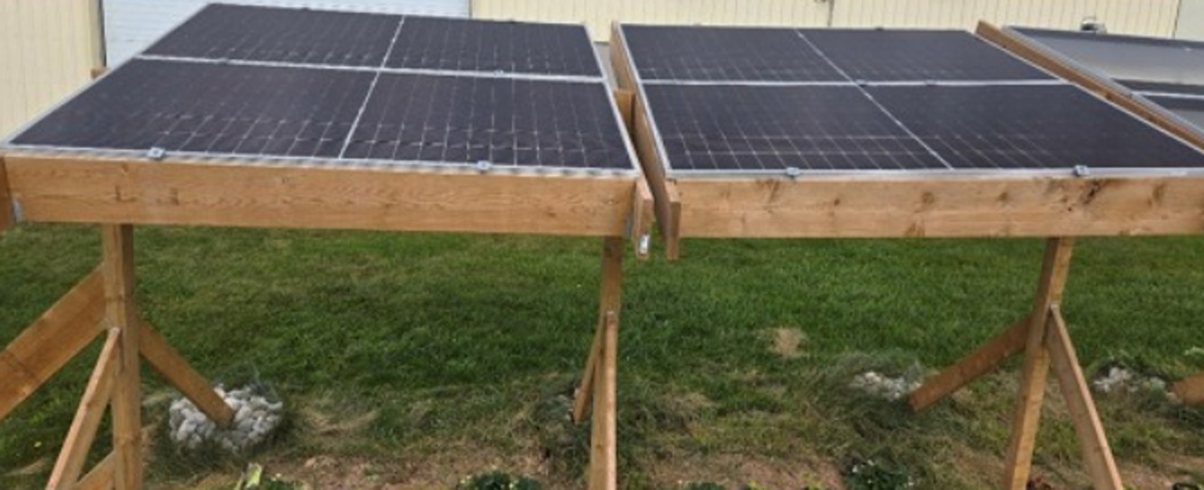 محققان: اگریولتائیک به دوام کاهو در گرمای شدید کمک کنند