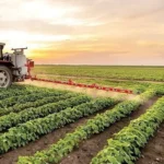 تعرفه افزایش پلکانی مصرف گاز، سوخت مایع و برق بخش کشاورزی مشخص شد