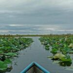 سند رسمی کلیه تالاب‌های کشور طی دو سال آینده صادر می‌شود