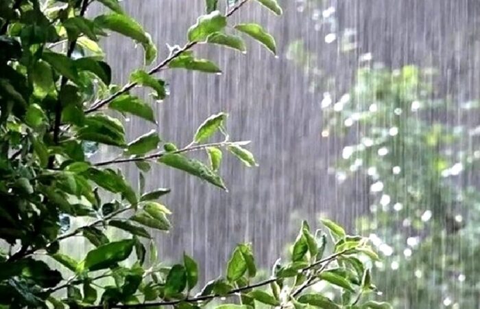 جنگ آب‌وهوایی صحت ندارد/ دلایل علمی بارش‌های اخیر